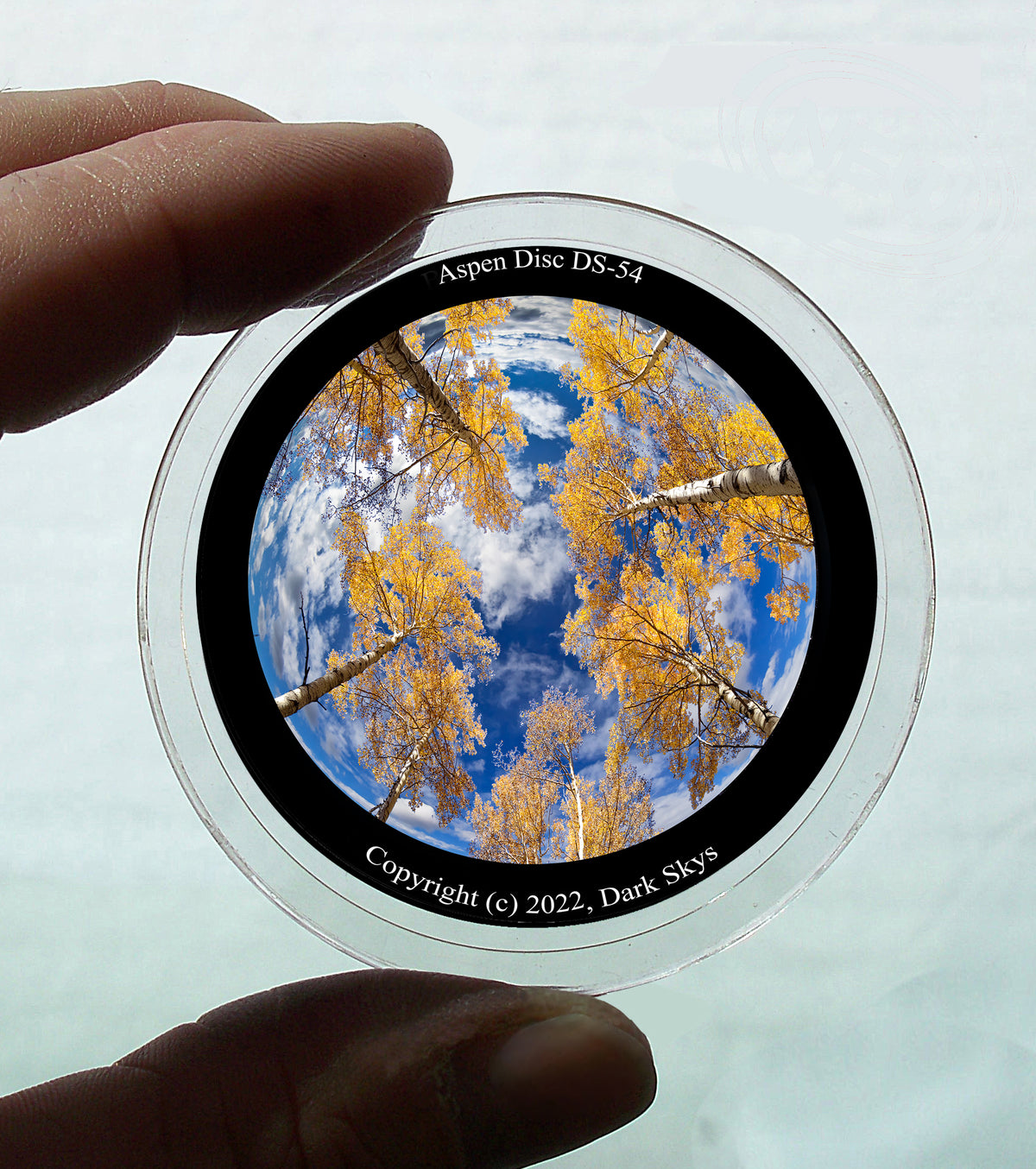 Disco de álamo temblón, n.° DS-54