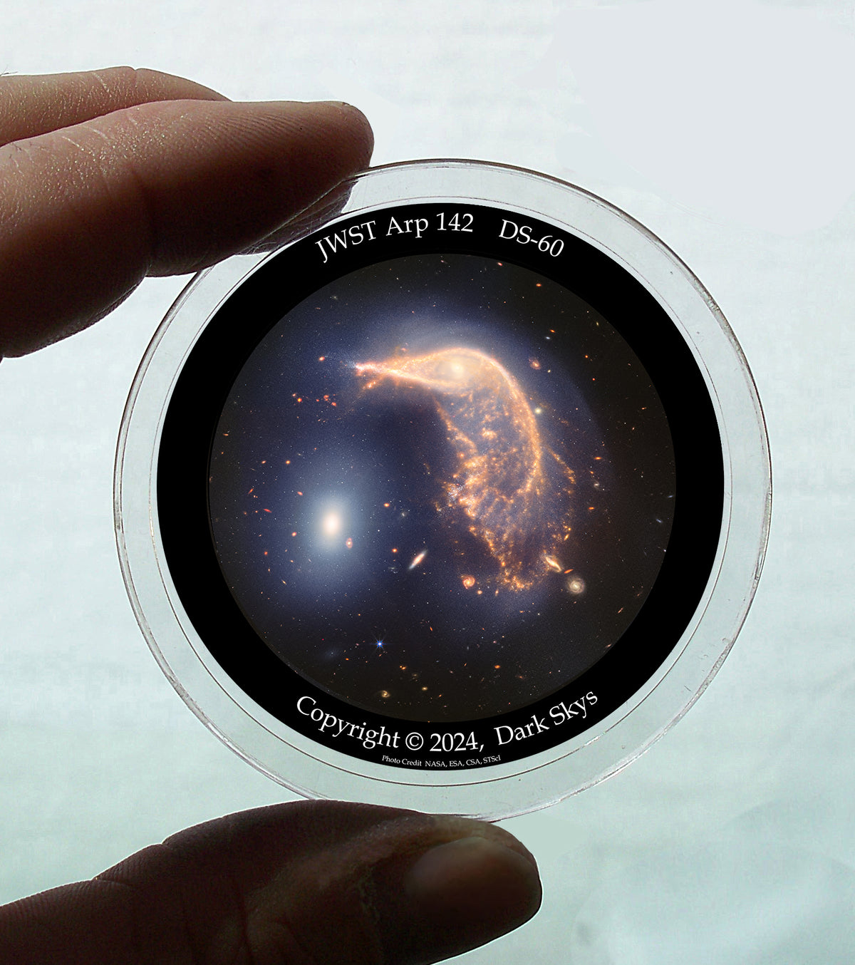 Pingüino y huevo JWST n.° DS-60 