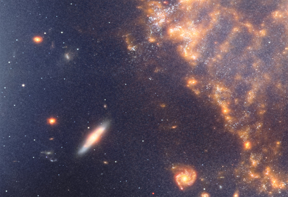 Pingüino y huevo JWST n.° DS-60 