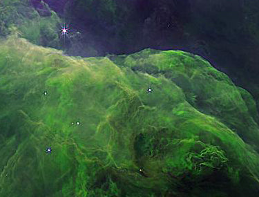 Nebulosa de Orión DS-59 del JWST 