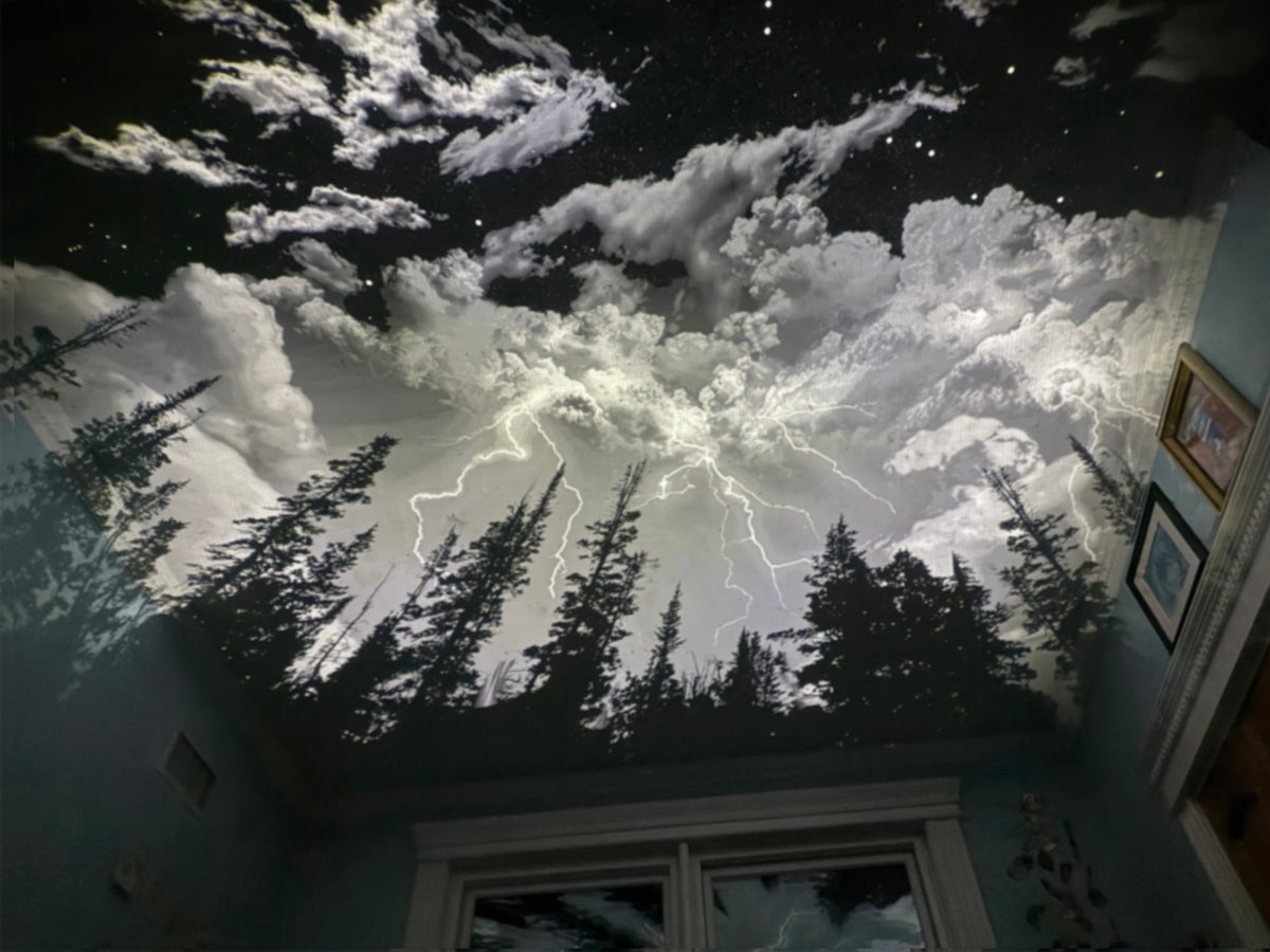 Stormy Night Chrome Disc #S142