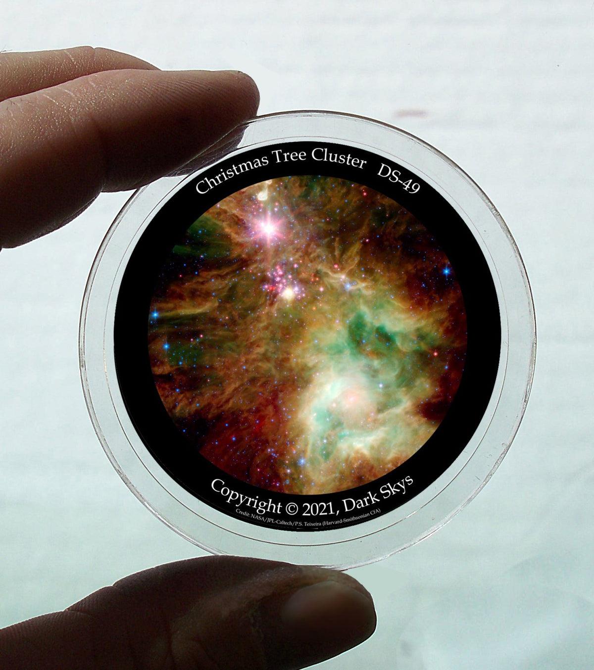 Grupo de árboles de Navidad, n.° DS-49 