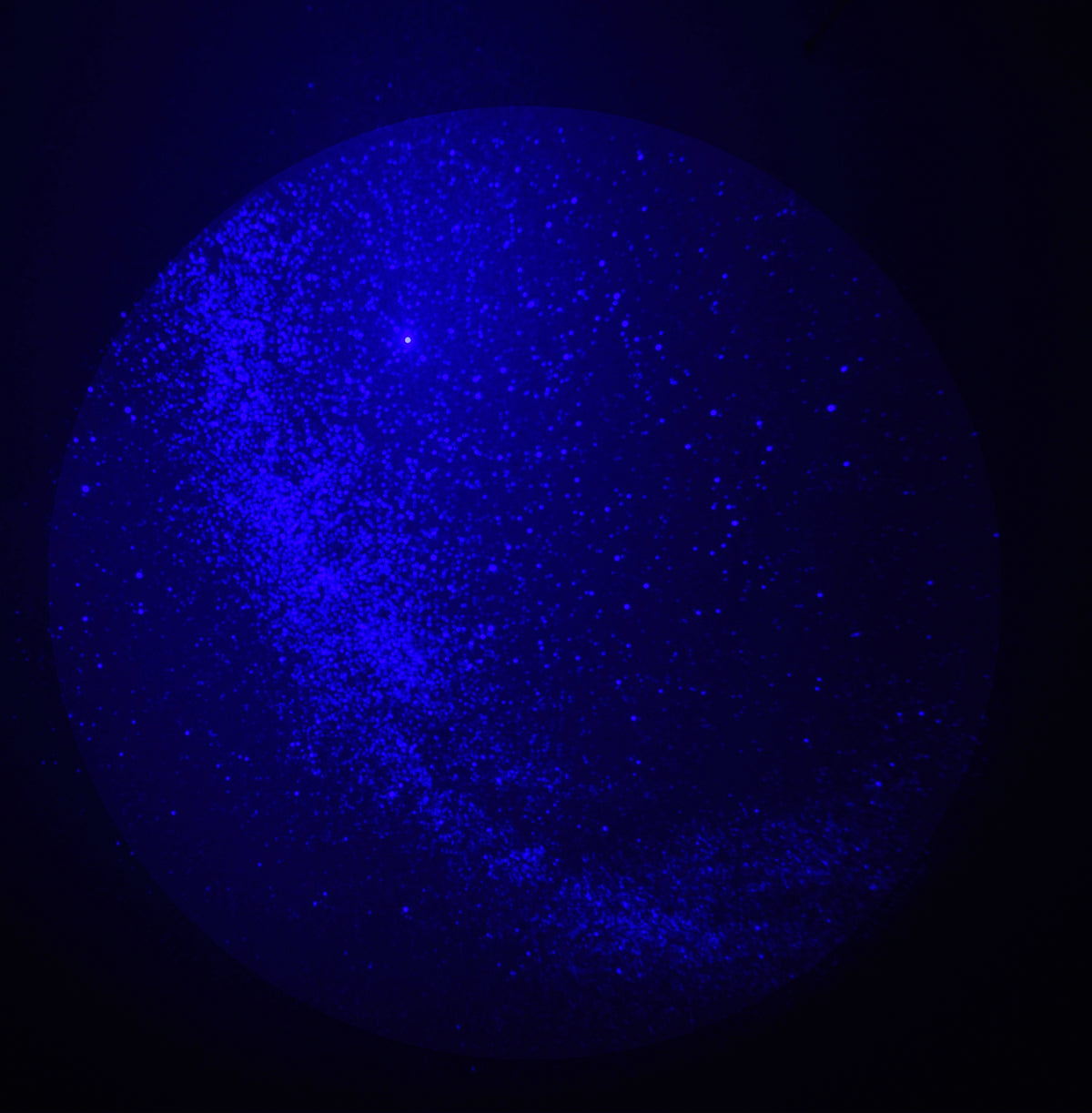 Planetario de bolsillo DS Skyview