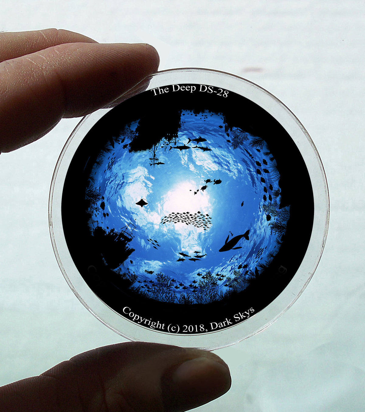 The Deep Disc, #DS-28