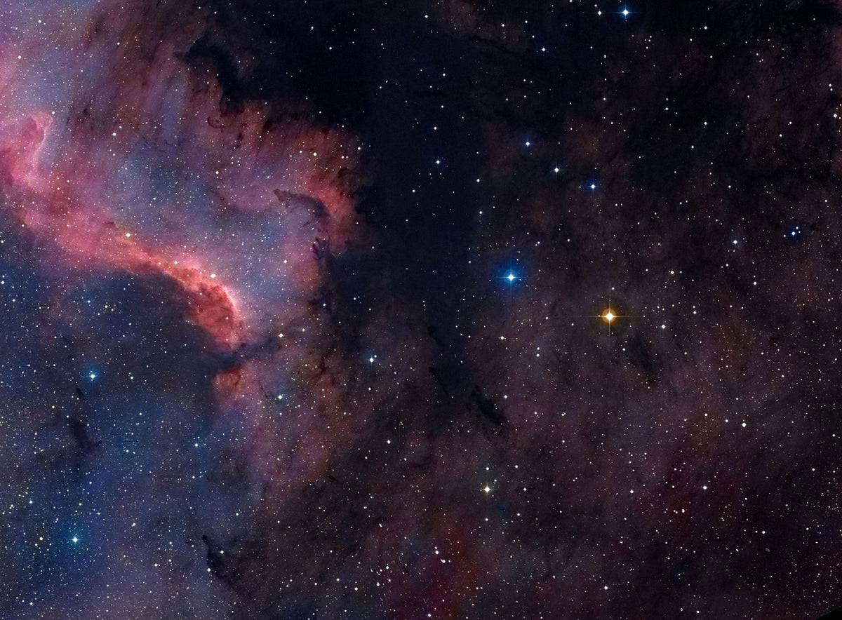 North American Nebula #DS-39