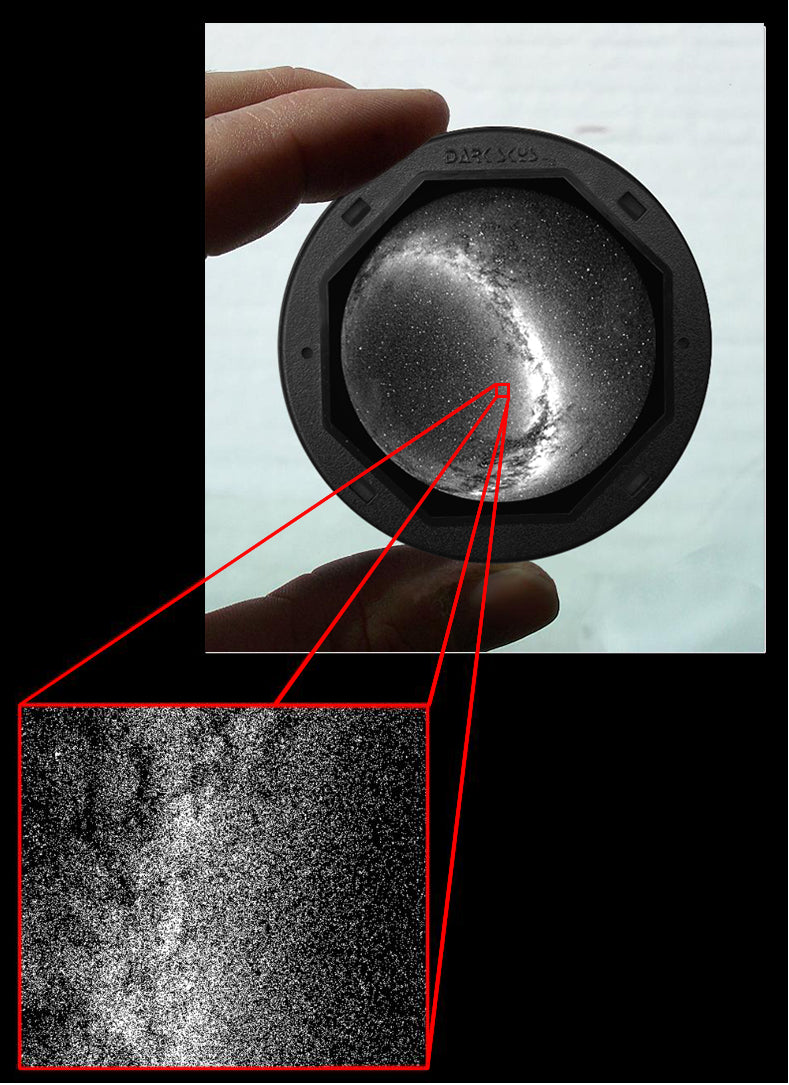 Southern Chrome Disc #S135B